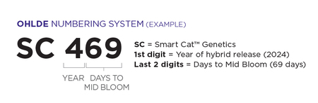 Ohlde Smart Cat Numbering System Ohlde Smart Cat Numbering System